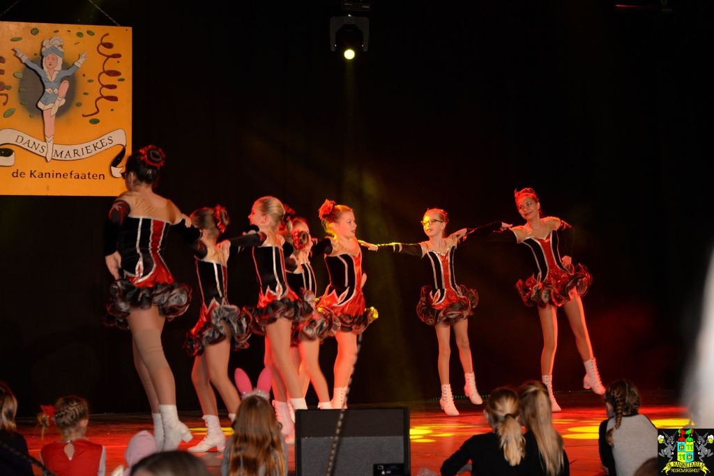 ../Images/Dansmarieke festival 2018 108.jpg